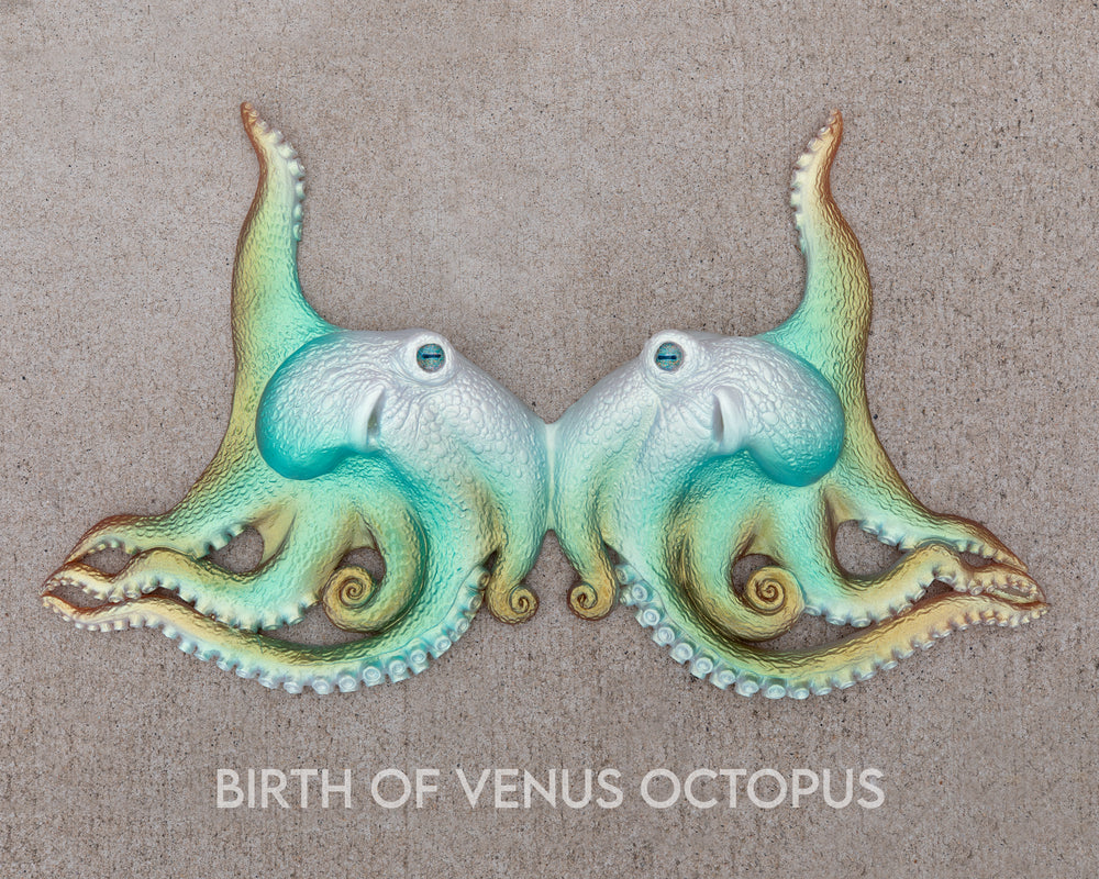 Birth of Venus Silicone Top