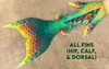 Tail of the Month: Pumpkinseed Signature Fabric Tail