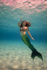 Fathom Discovery Fabric Tail