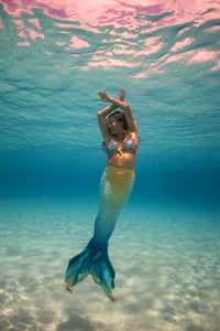 Bimini Discovery Fabric Tail