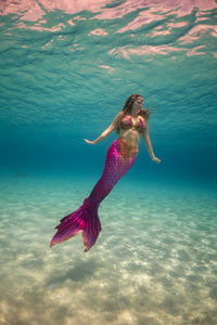 Paradiso Discovery Fabric Tail