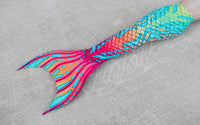 Mandarin Goby Discovery Fabric Tail - READY TO SHIP