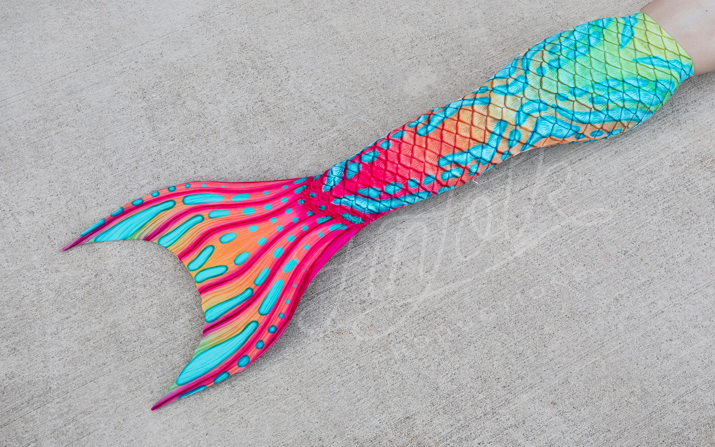 Mandarin Goby Discovery Fabric Tail - READY TO SHIP
