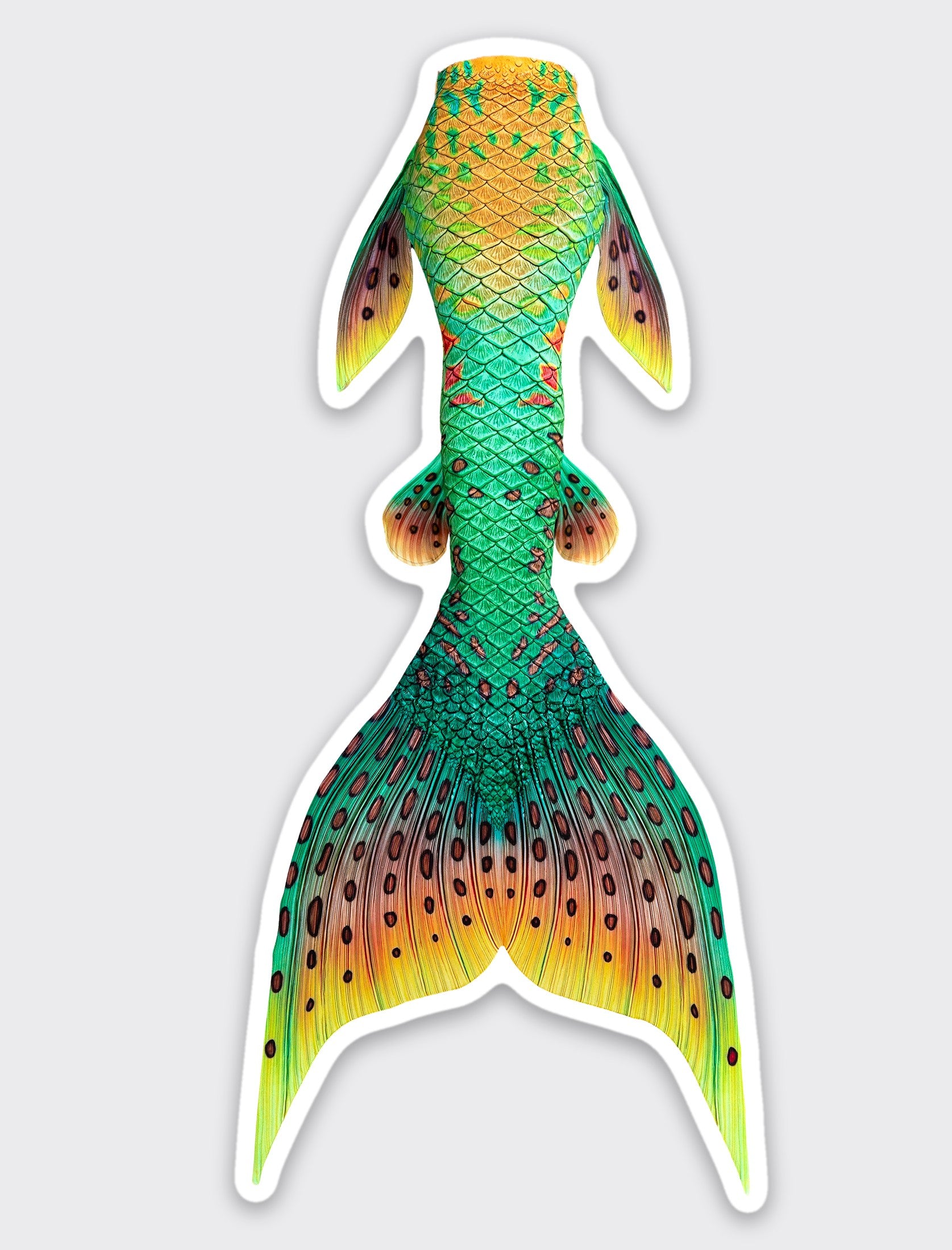 Pumpkinseed Signature Tail Sticker
