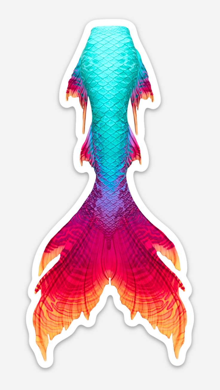 Wind Trader Signature Tail Sticker