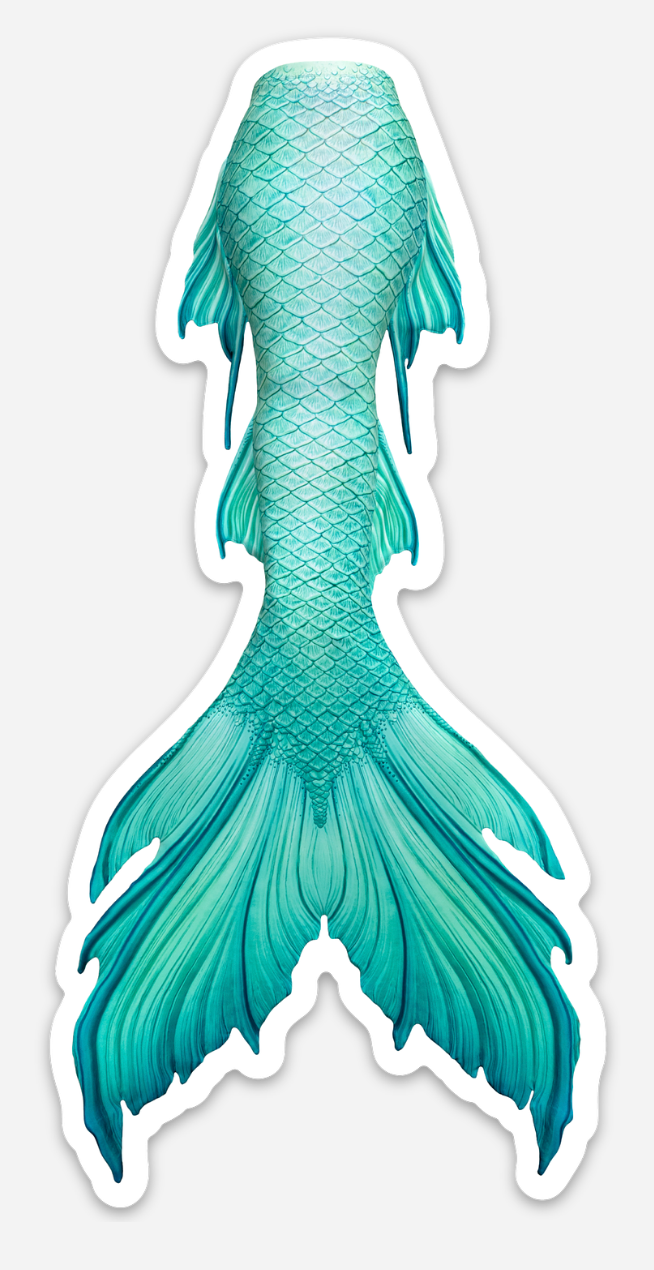 Cali Signature Tail Sticker