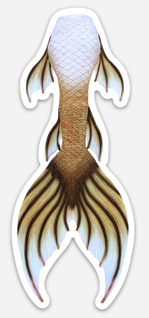 Olympia Signature Tail Sticker