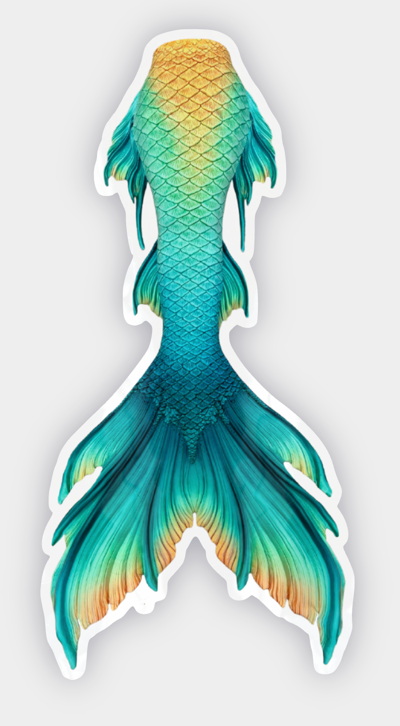 Bimini Signature Tail Sticker