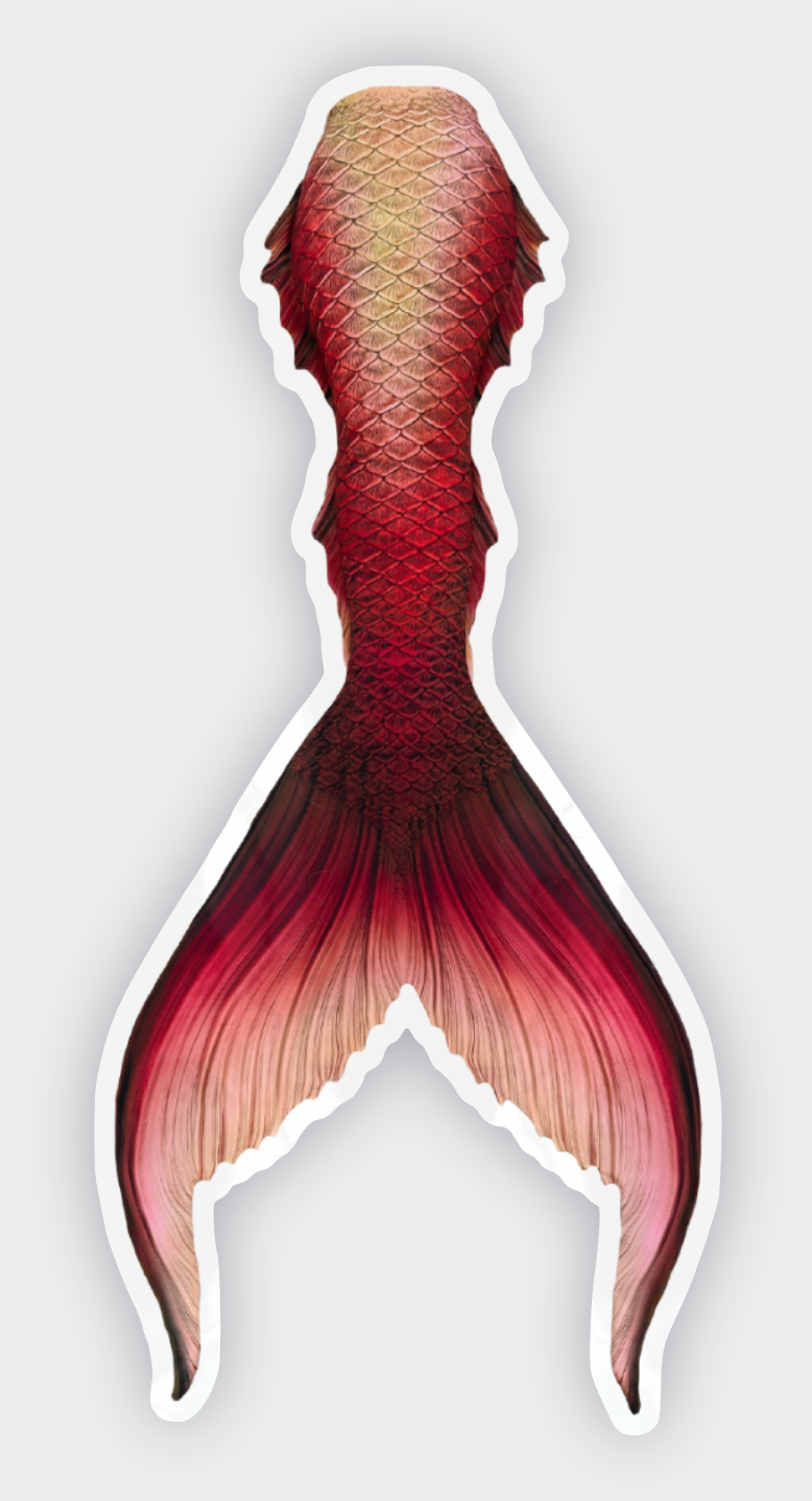 Compass Rose Signature Tail Sticker
