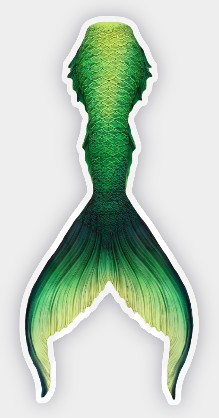 Fathom Signature Tail Sticker