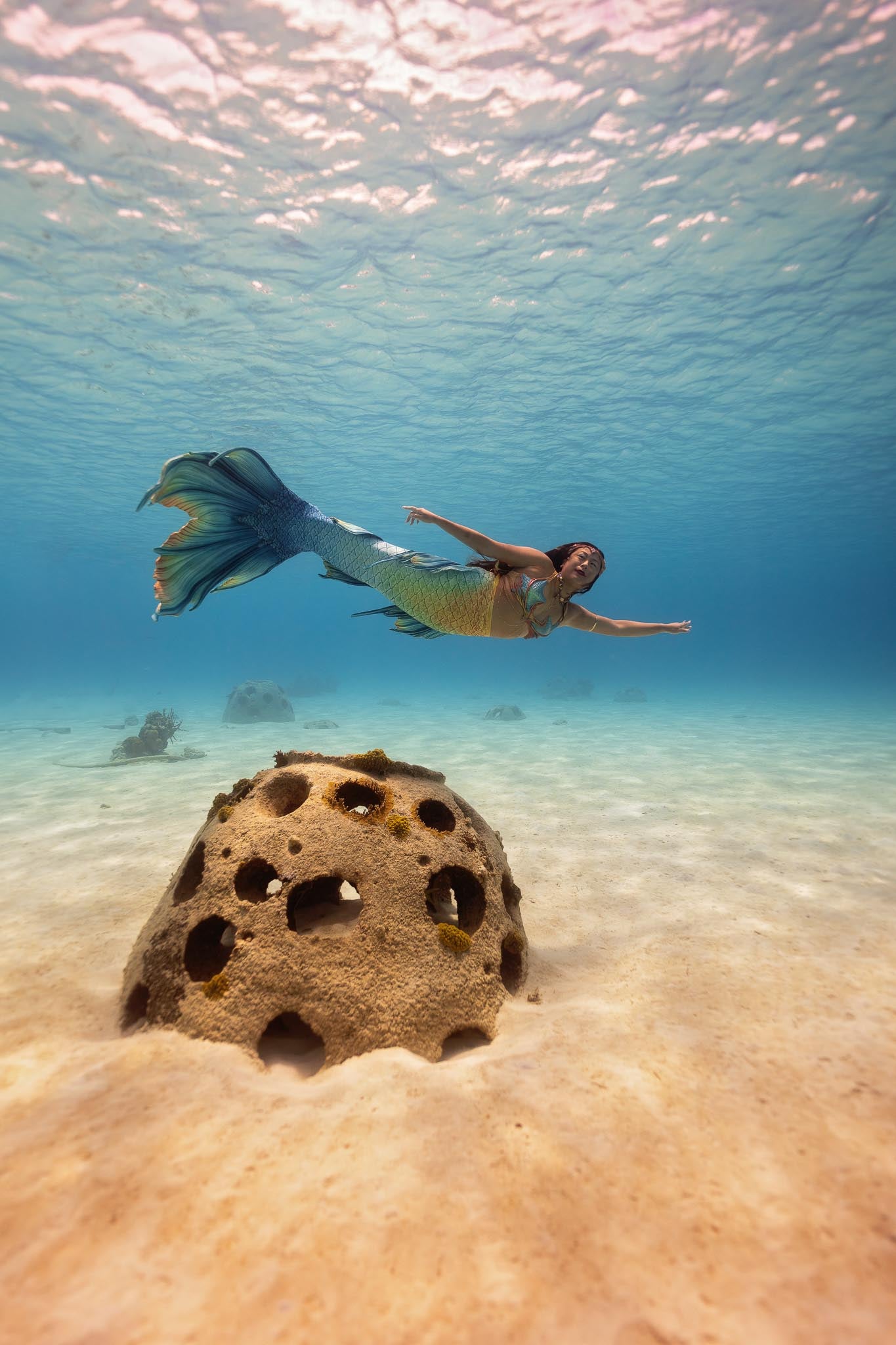 Bimini Signature Fabric Tail