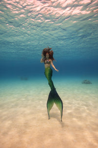 Fathom Signature Fabric Tail