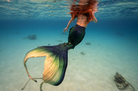Fathom Signature Fabric Tail