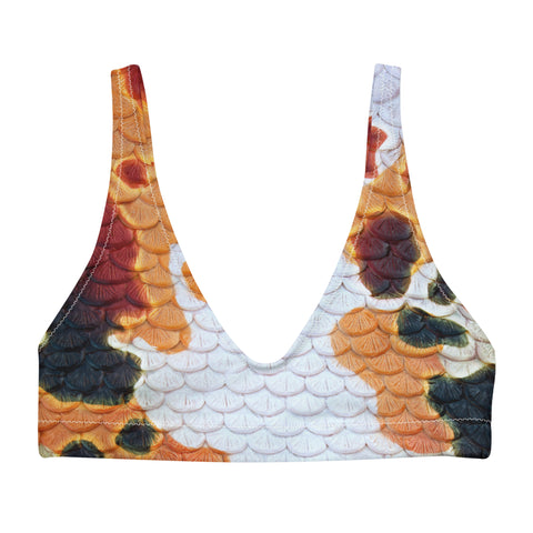 The Lionfish Recycled Padded Bikini Top