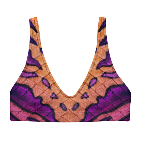 Indigo Recycled Padded Bikini Top