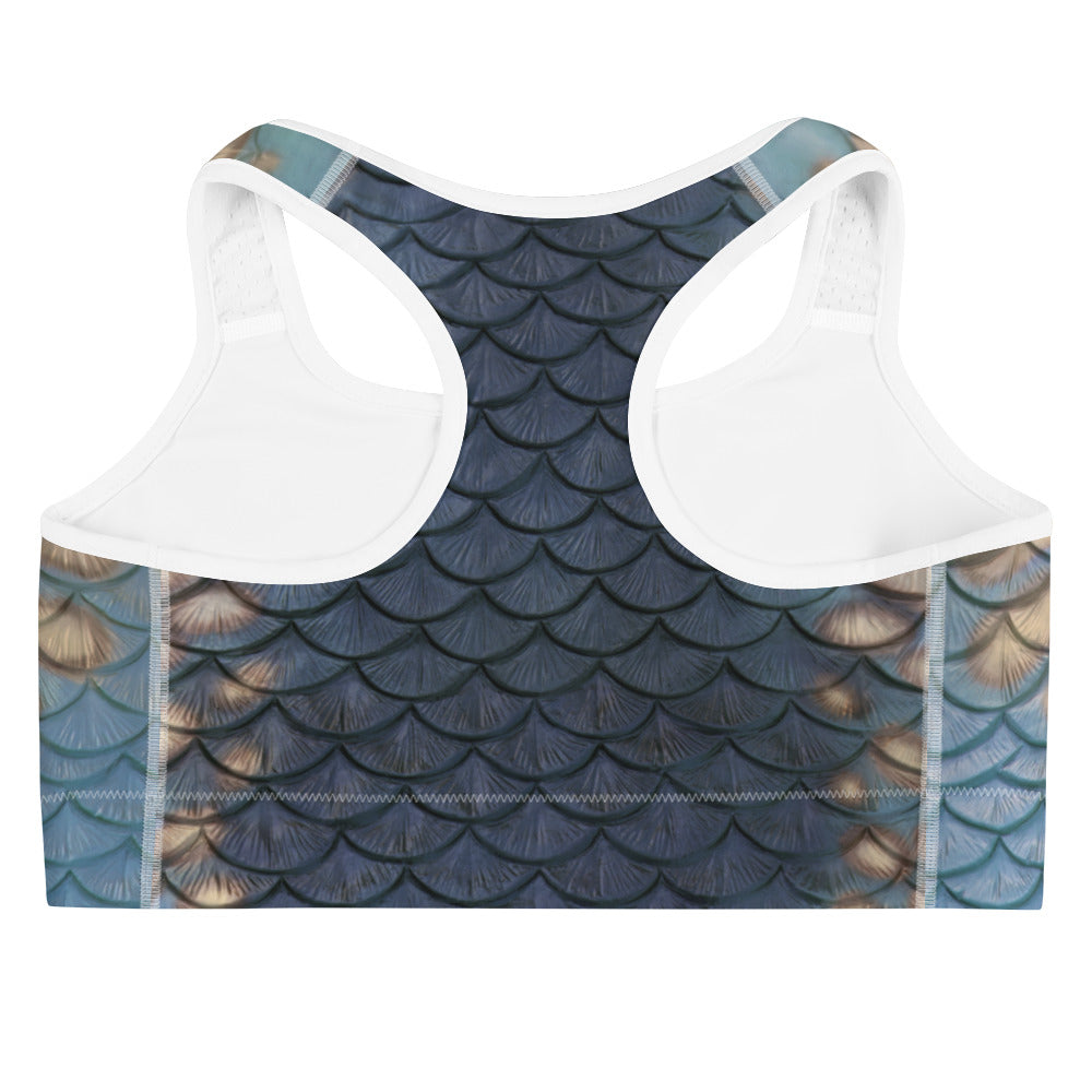 Moonshell Sports bra