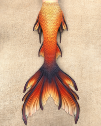Atlas Signature Fabric Tail