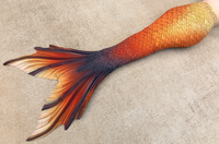 Atlas Discovery Fabric Tail