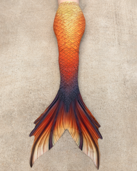Atlas Discovery Fabric Tail