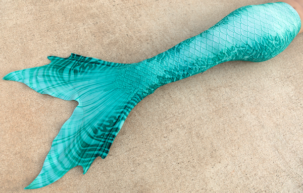 Reef Dweller Discovery Fabric Tail