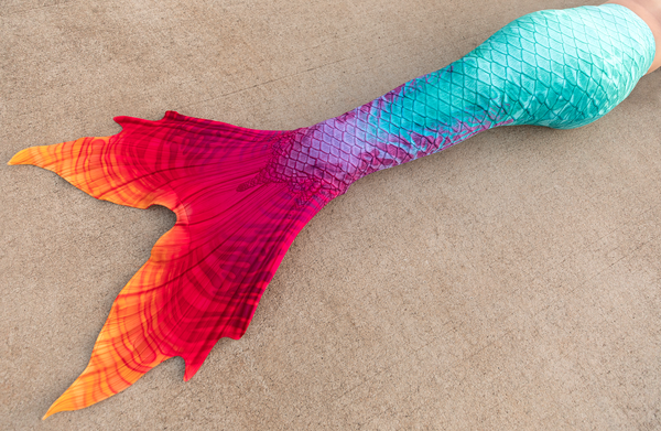 Wind Trader Discovery Fabric Tail