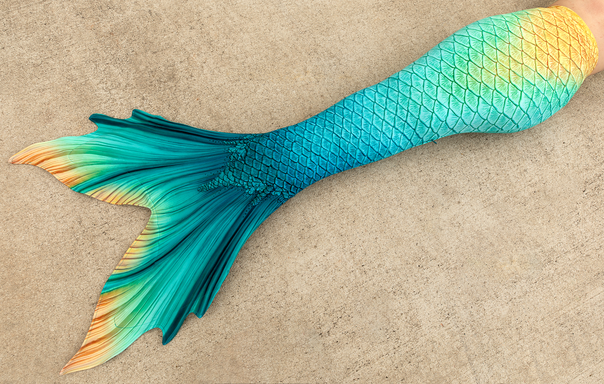 Bimini Discovery Fabric Tail