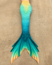 Bimini Discovery Fabric Tail