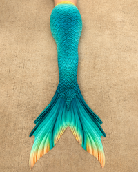 Bimini Discovery Fabric Tail