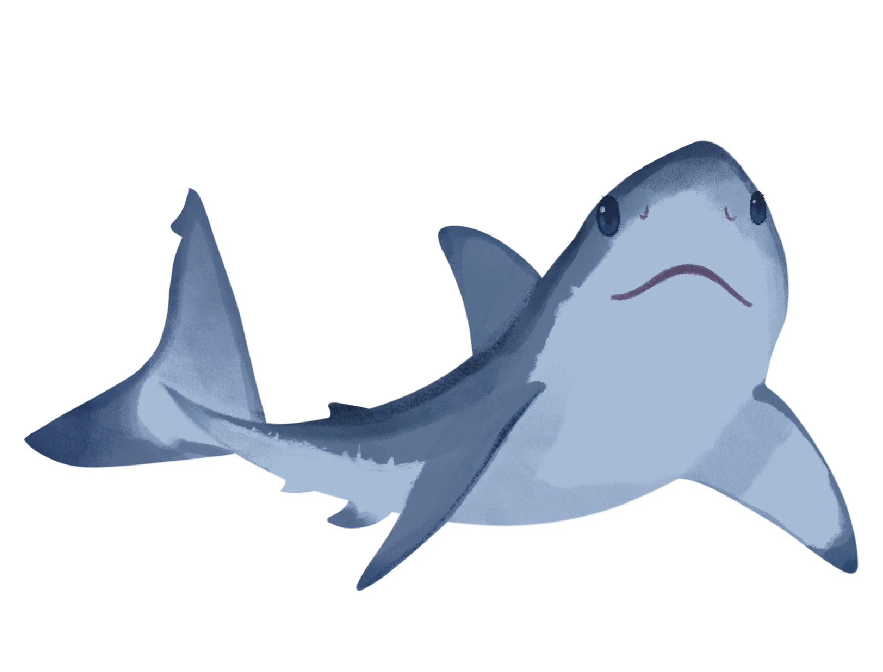 Bull Shark Sticker