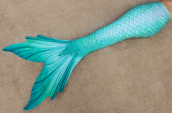 Cali Discovery Fabric Tail