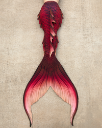 Compass Rose Signature Fabric Tail