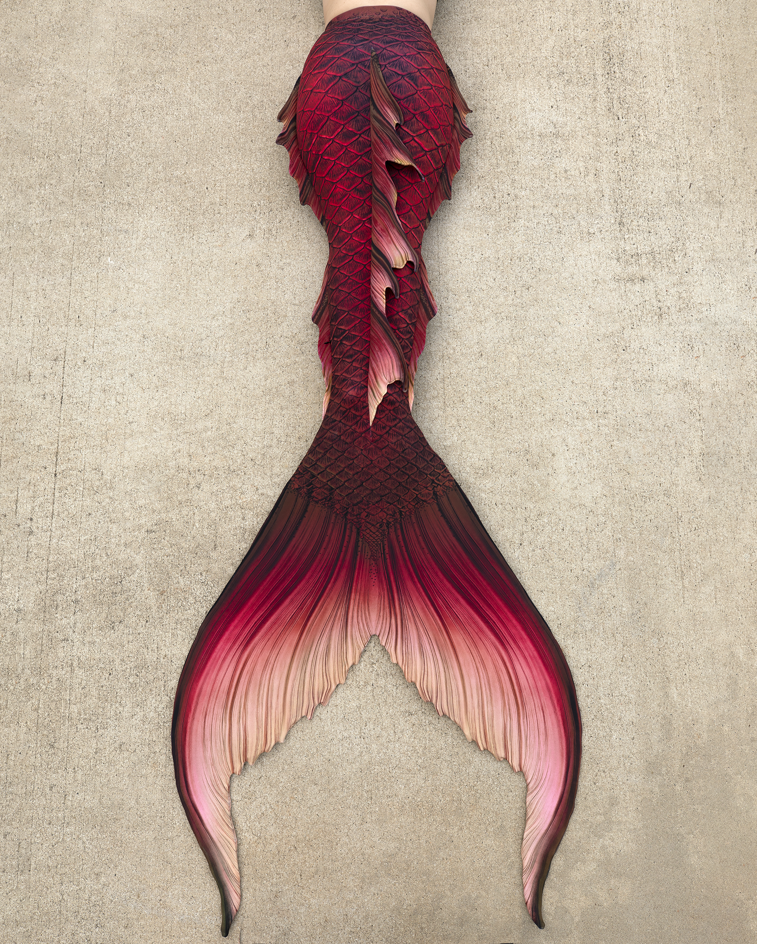 Compass Rose Signature Fabric Tail