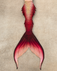 Compass Rose Signature Fabric Tail