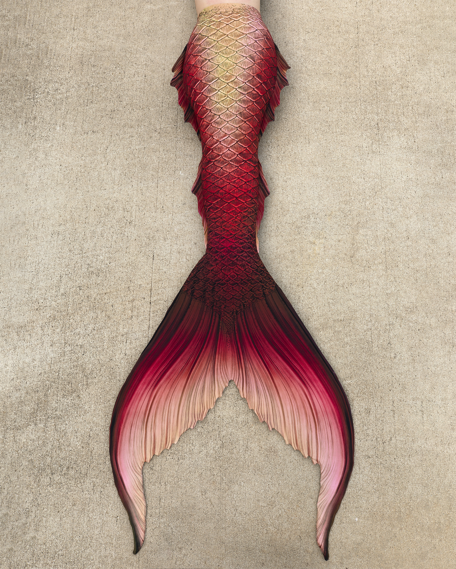 Compass Rose Signature Fabric Tail