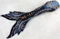 Eclipse Discovery Fabric Tail