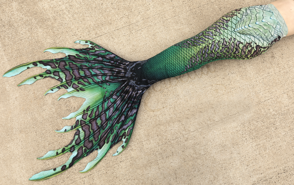 Eelia Merbella by Finfolk Signature Fabric Tail - READY TO SHIP