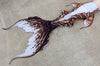 Tail of the Month: Escalla Merbella by Finfolk Signature Fabric Tail