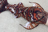 Tail of the Month: Escalla Merbella by Finfolk Signature Fabric Tail