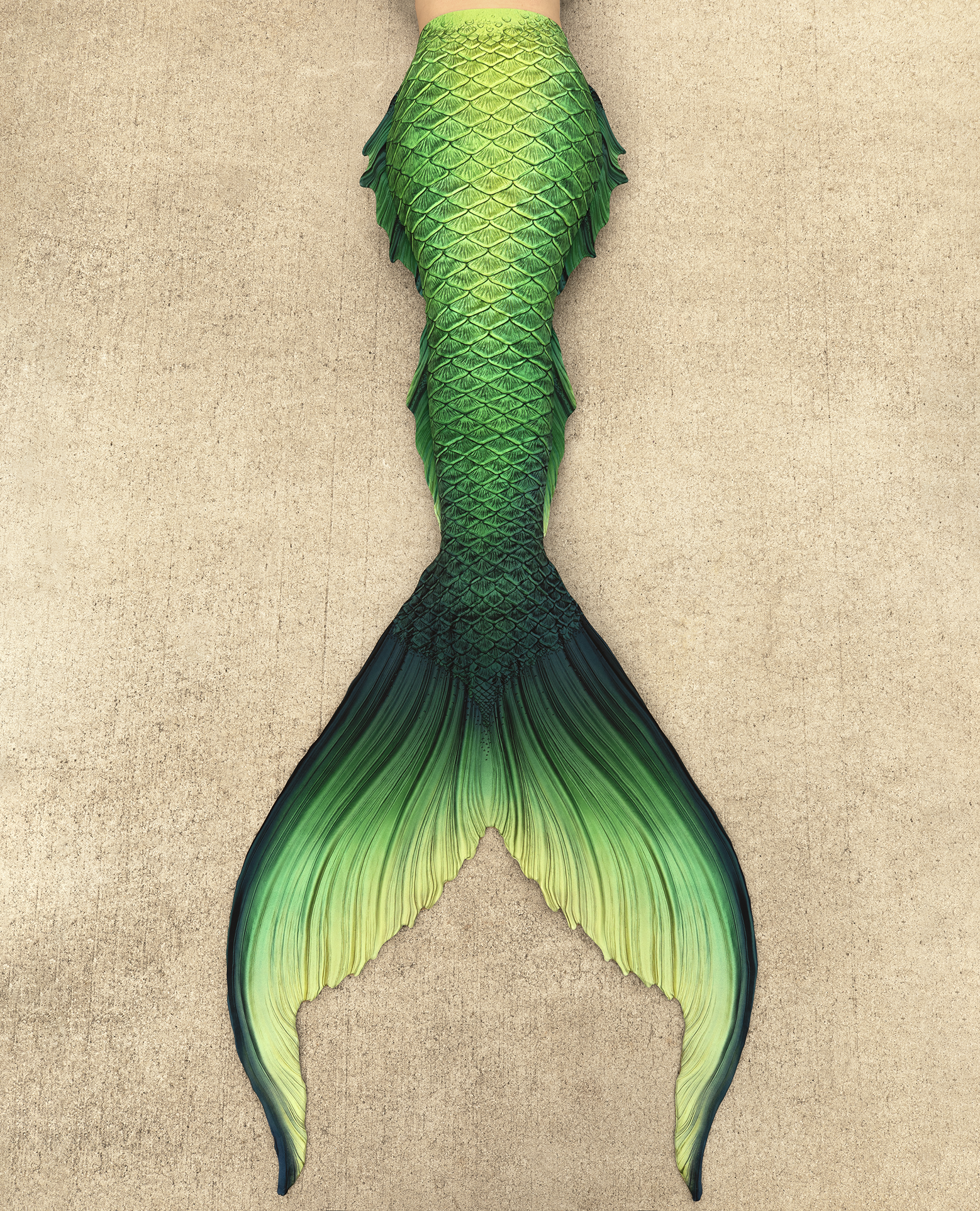 Fathom Signature Fabric Tail