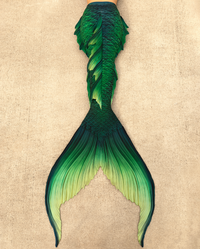 Fathom Signature Fabric Tail