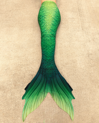 Fathom Discovery Fabric Tail