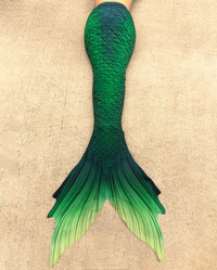Fathom Discovery Fabric Tail
