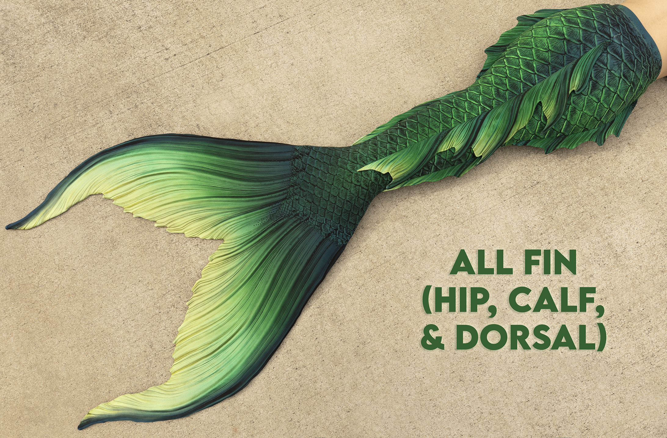 Fathom Signature Fabric Tail