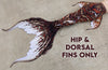 Tail of the Month: Escalla Merbella by Finfolk Signature Fabric Tail