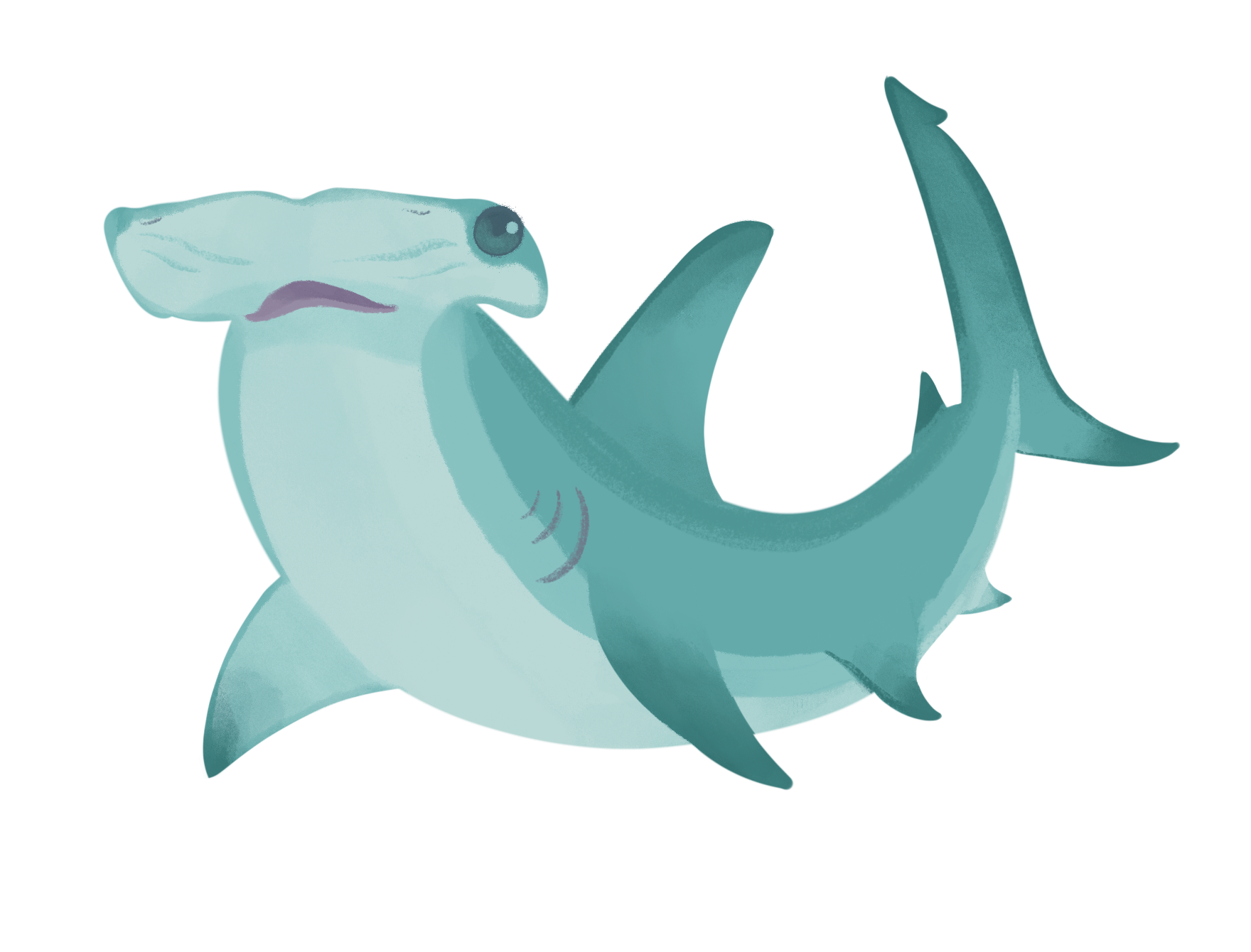 Hammerhead Shark Sticker