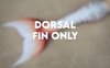 Tail of the Month: The Lionfish Signature Fabric Tail