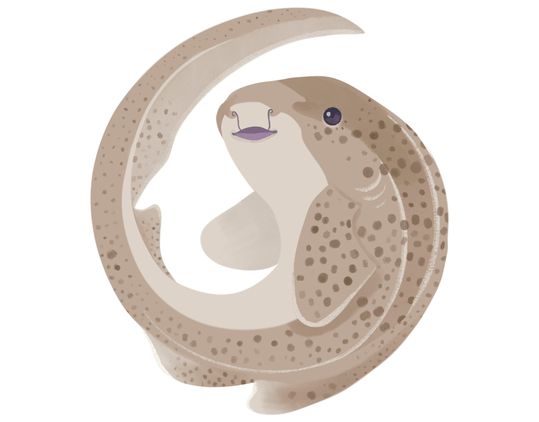 Nurse Shark Sticker