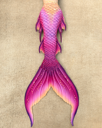Paradiso Signature Fabric Tail