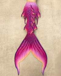 Paradiso Signature Fabric Tail