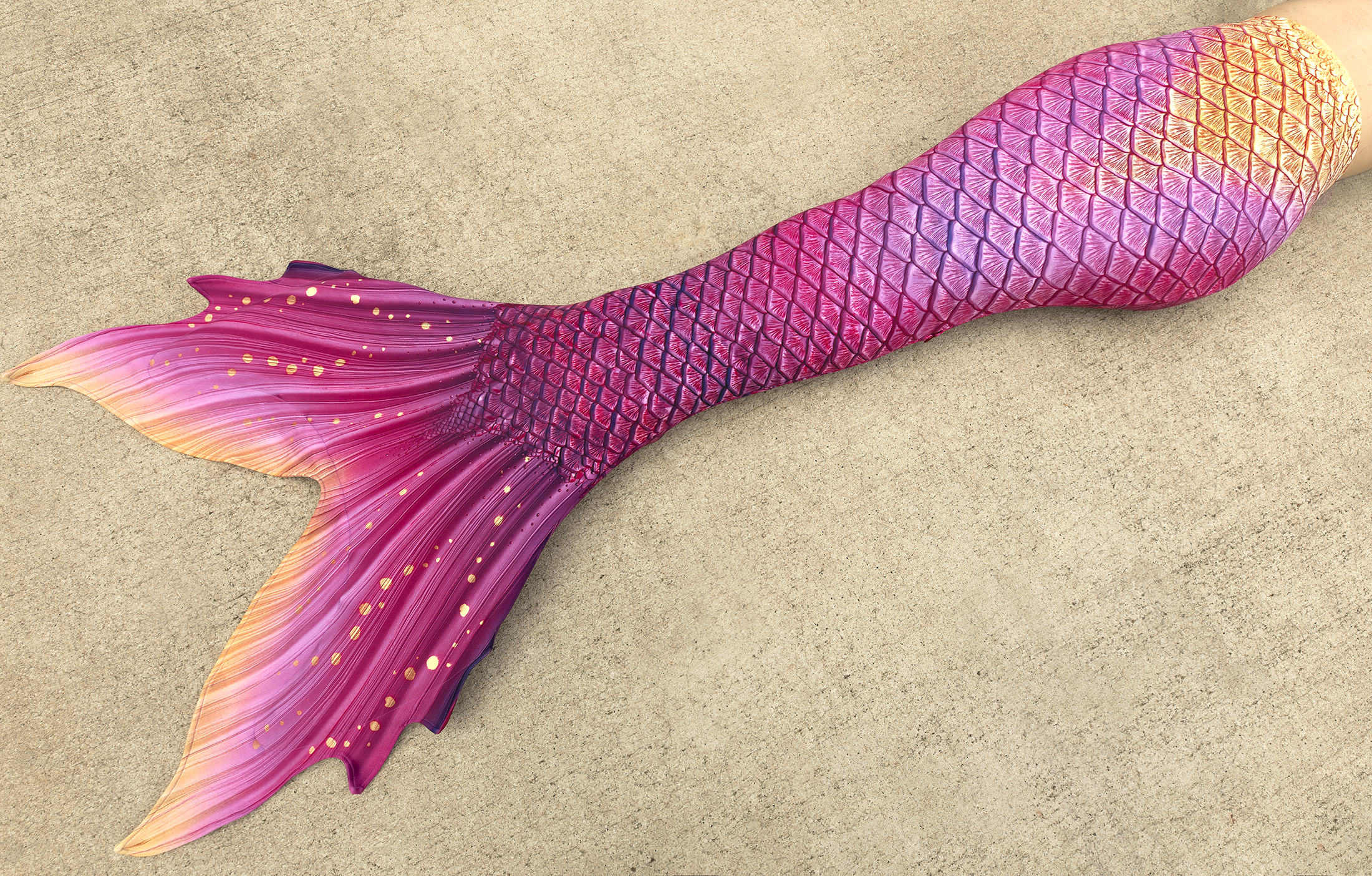 Paradiso Discovery Fabric Tail